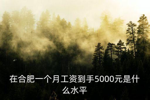合肥4000工資多少錢,工資5000到6000之間