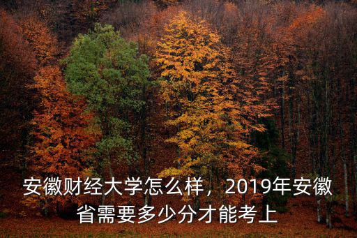 安徽財經大學多少名能進,安徽財經大學怎么樣