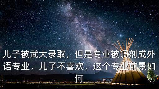 武漢大學(xué)的外語專業(yè)怎么樣,武漢大學(xué)外語系怎么樣