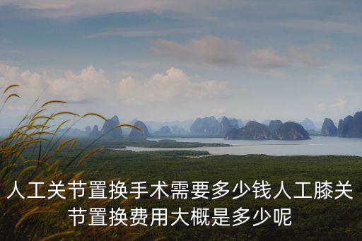 保定市髖關節置換需要多少錢,髖關節置換術大概需要多少錢