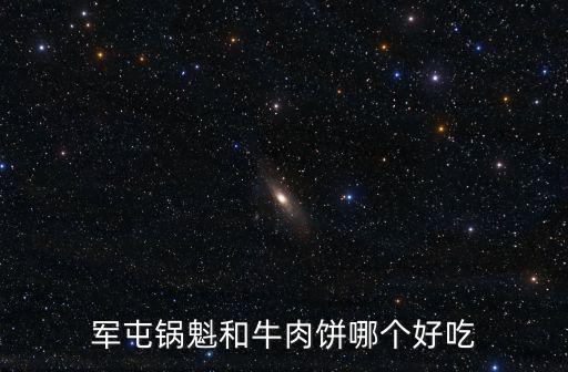 軍屯鍋魁和牛肉餅哪個好吃