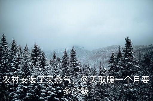 農村安裝了天燃氣，冬天取暖一個月要多少錢