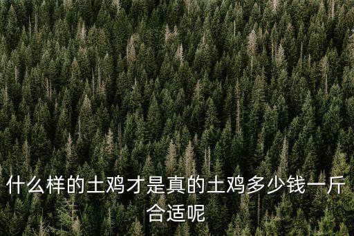 什么樣的土雞才是真的土雞多少錢一斤合適呢
