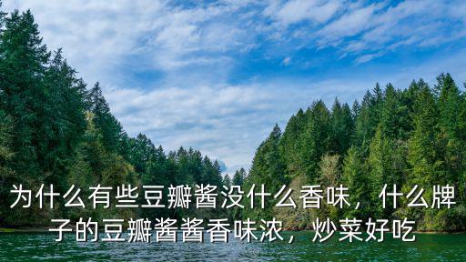 四川辣豆瓣醬哪里好吃,哪個(gè)牌子的豆瓣醬最好吃