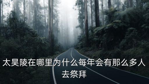 周口淮陽太昊陵在哪里,太昊陵在哪里