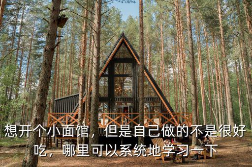 想開個小面館，但是自己做的不是很好吃，哪里可以系統地學習一下
