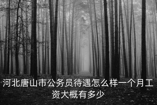 河北唐山多少個縣,河北唐山市公務員待遇怎么樣