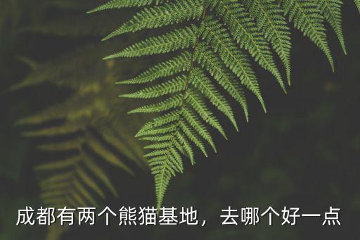 四川熊貓基地位于哪里,成都有兩個熊貓基地