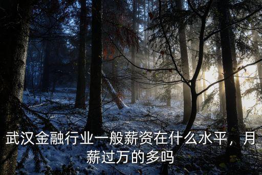 武漢金融行業一般薪資在什么水平，月薪過萬的多嗎