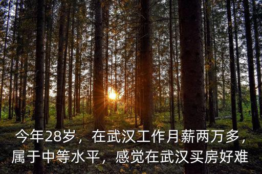 今年28歲，在武漢工作月薪兩萬(wàn)多，屬于中等水平，感覺在武漢買房好難