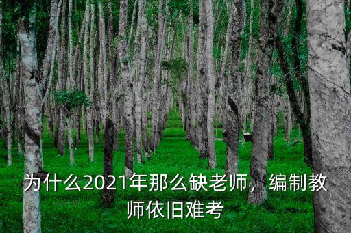 滁州2021年教師編招多少,編制教師依舊難考
