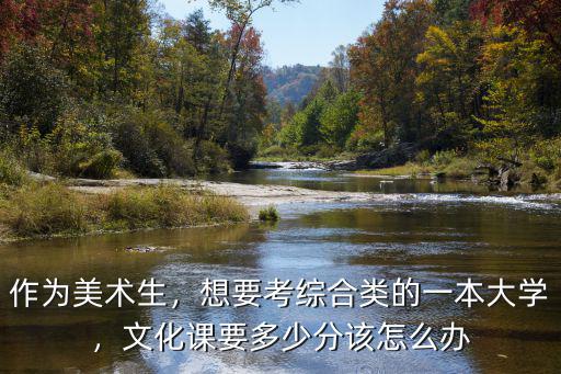 河北美術考一本要多少分,河北美術聯考249分