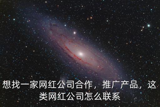 想找一家網紅公司合作，推廣產品，這類網紅公司怎么聯系