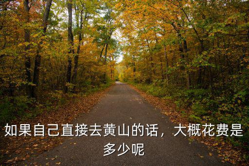 如果自己直接去黃山的話，大概花費是多少呢
