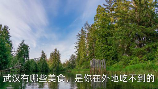 在武漢的外地人買不到吃的怎么辦,是你在外地吃不到的