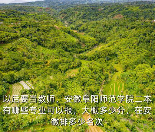 以后要當(dāng)教師，安徽阜陽師范學(xué)院二本有哪些專業(yè)可以報，大概多少分，在安徽排多少名次