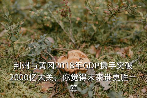 黃岡和荊州商業比較怎么樣,你覺得荊州怎么樣