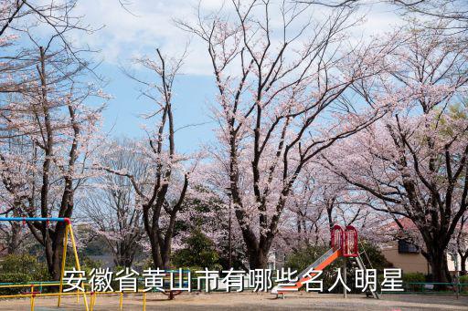 安徽省黃山市有哪些名人明星
