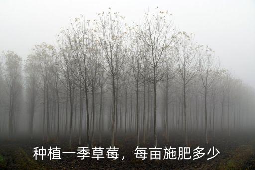 種植一季草莓，每畝施肥多少