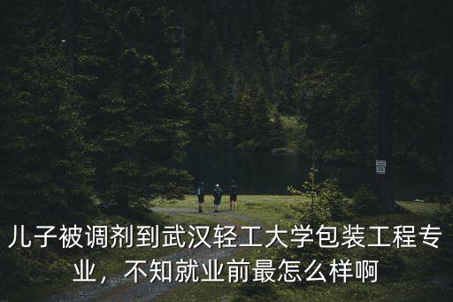 武漢輕工大學金融專業怎么樣,武漢輕工大學