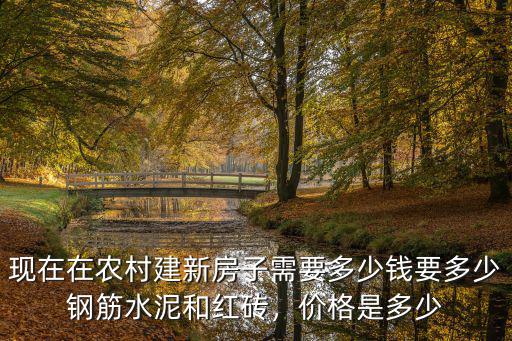 現在在農村建新房子需要多少錢要多少鋼筋水泥和紅磚，價格是多少