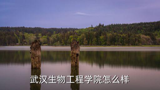 武漢生物工程學院怎么樣