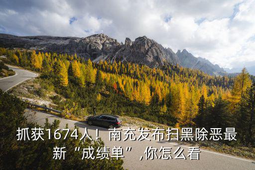 抓獲1674人！南充發布掃黑除惡最新“成績單”,你怎么看