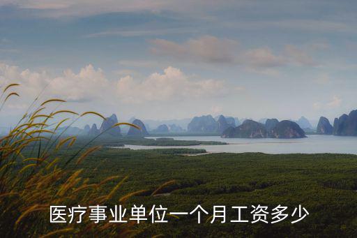 廊坊財政事業發放醫療補每月是多少,事業單位車補到底是多少