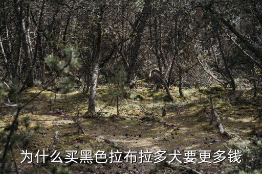 廊坊拉布拉多黑狗多少錢,一只拉布拉多多少錢