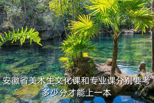 安徽美術(shù)分221分文化課多少分,安徽省美術(shù)統(tǒng)考222分