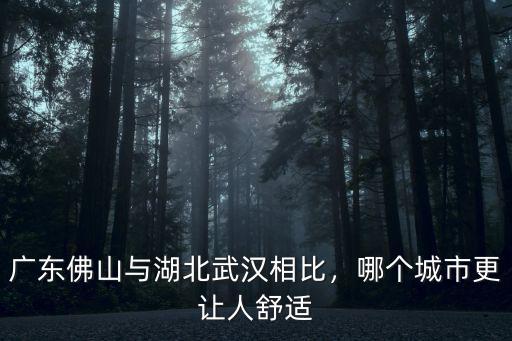 武漢和佛山怎么選,同濟和武漢大學該怎么選