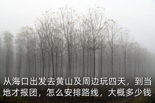 從海口出發去黃山及周邊玩四天，到當地才報團，怎么安排路線，大概多少錢
