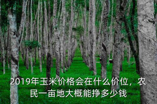 2019年玉米價格會在什么價位，農民一畝地大概能掙多少錢