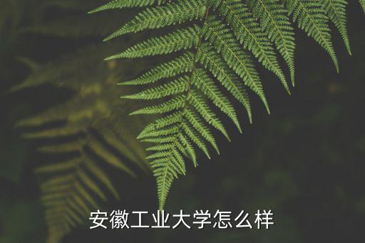 安徽工業大學怎么樣