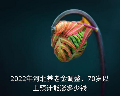 河北80歲以上養老金多少錢,70歲以上預計能漲多少錢