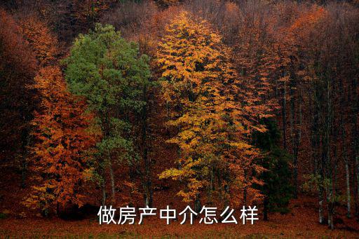 做房產中介怎么樣