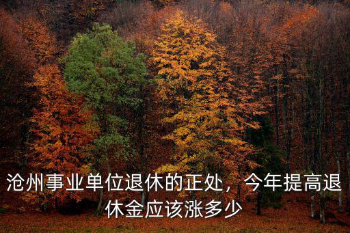 滄州今年退休金漲多少,今年提高退休金應(yīng)該漲多少