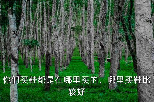 南充哪里買男士皮鞋好,哪里買鞋比較好
