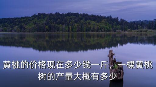 黃桃的價格現(xiàn)在多少錢一斤，一棵黃桃樹的產(chǎn)量大概有多少