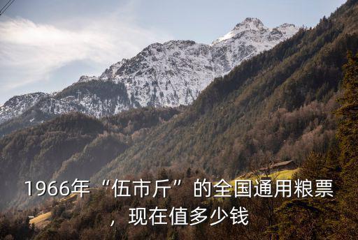 1966年“伍市斤”的全國通用糧票，現在值多少錢