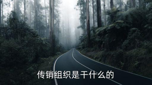 自貢傳銷(xiāo)組織在哪里,傳銷(xiāo)組織是干什么的