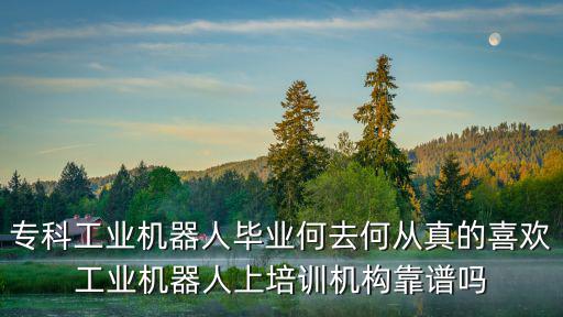 成都哪里庫卡工業(yè)機器人培訓,想學工業(yè)機器人從哪里入手