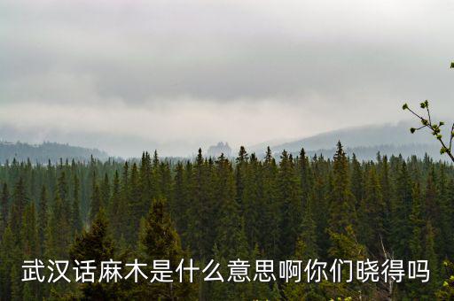 武漢話麻木是什么意思啊你們曉得嗎