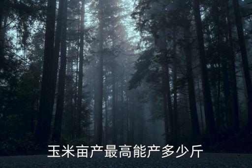 邯鄲玉米畝產多少公斤,玉米畝產最高能產多少斤