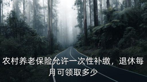 農村養老保險允許一次性補繳，退休每月可領取多少