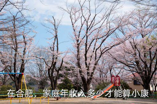 合肥男人月入多少,一個男生需要月入多少