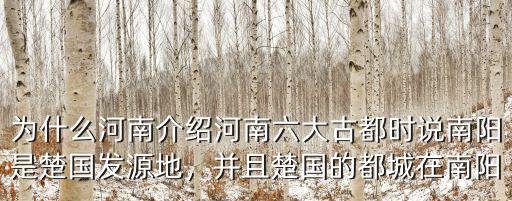 以前的南陽在哪里,并且楚國的都城在南陽