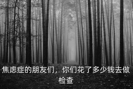 焦慮癥的朋友們，你們花了多少錢去做檢查