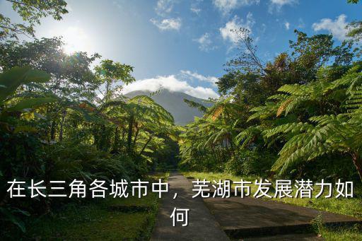 蕪湖市在長三角排名是多少位,在長三角各城市中