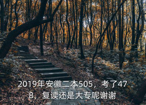 2019年安徽二本505，考了478，復讀還是大專呢謝謝